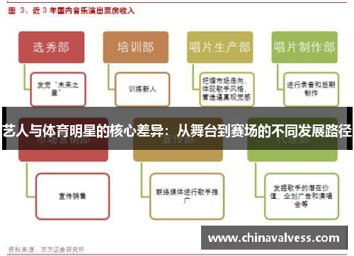 艺人与体育明星的核心差异：从舞台到赛场的不同发展路径